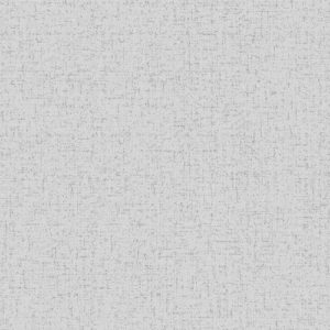 fd41969-1-300x300