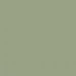 Farrow & Ball Lichen 19