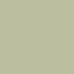 Farrow & Ball Verr De Terre 234